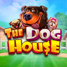 Aviator game90